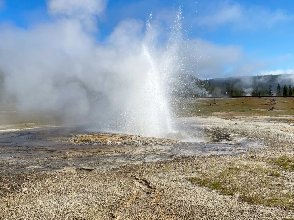 All 11 Geyser Basins In Yellowstone Ranked Engineer To Explore   Jewel Geyser Biscuit Basin 1024x768 