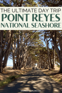 The Ultimate Point Reyes Day Trip Itinerary - Engineer to Explore