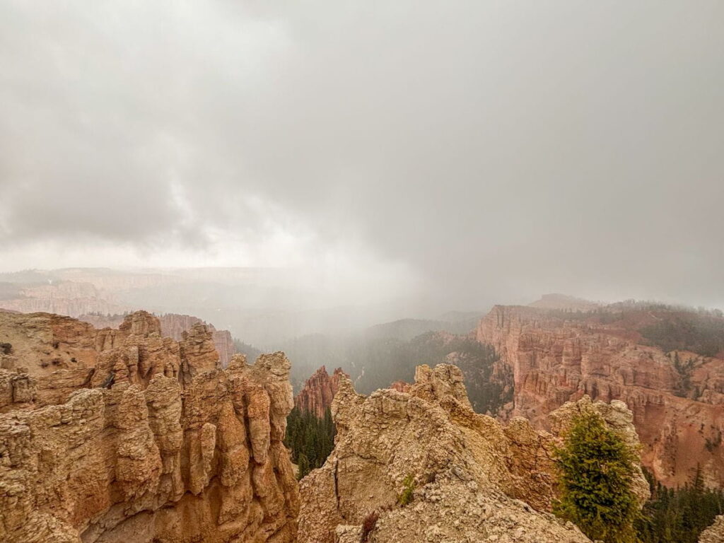 rainbow point bryce canyon