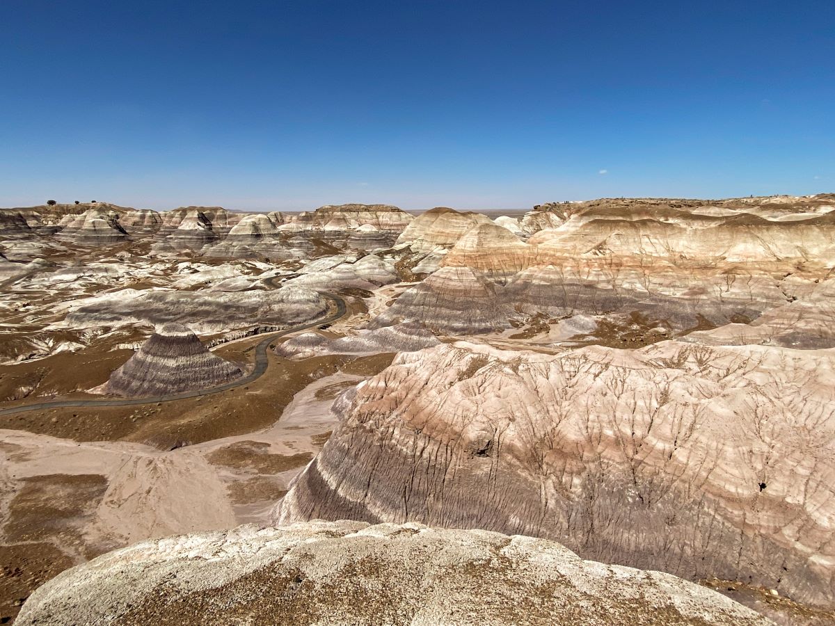 blue mesa scenic drive