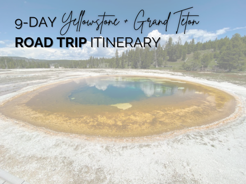 yellowstone and grand teton road trip