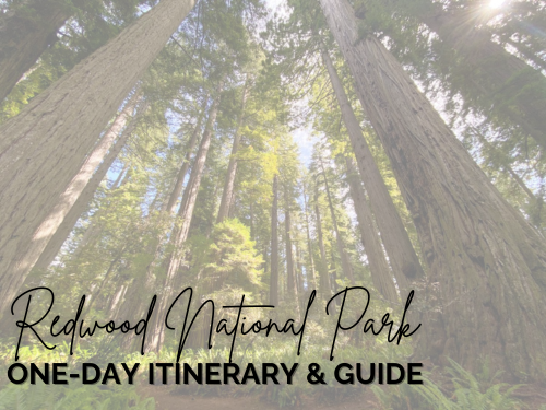 redwood national park itinerary