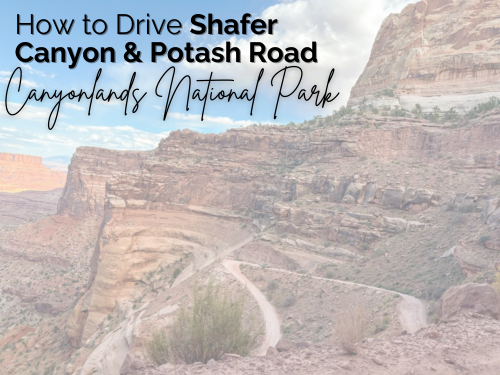 shafer canyon and potash road loop canyonlands