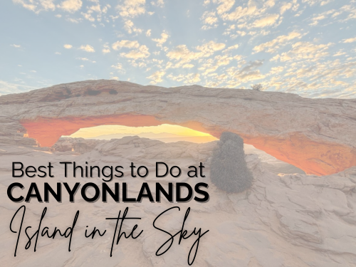 things to do at canyonlands island in the sky