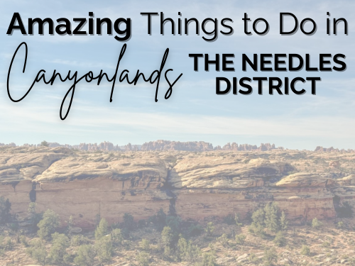 things to do in the needles district canyonlands