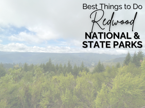 things to do in redwood national park