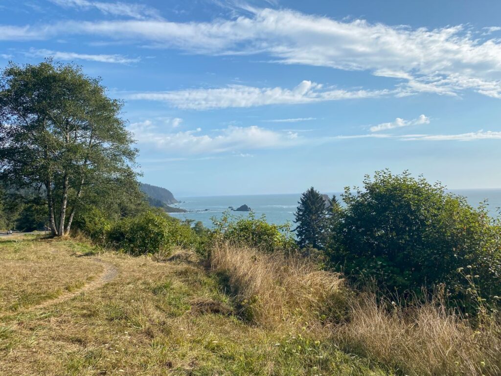 pacific ocean view redwood national park