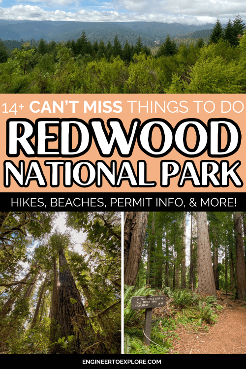 things to do in redwood national park