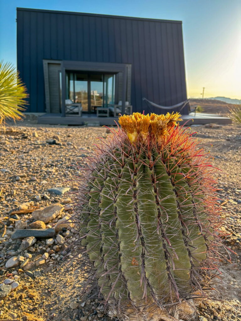 stardust big bend