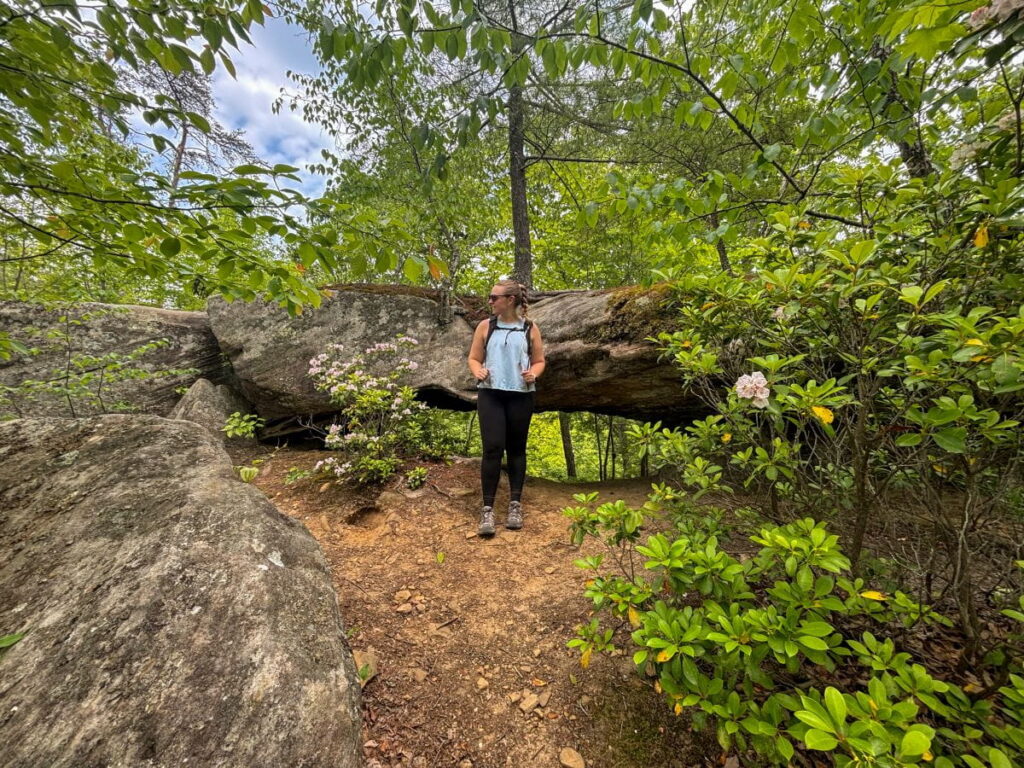 arch of triumph red river gorge