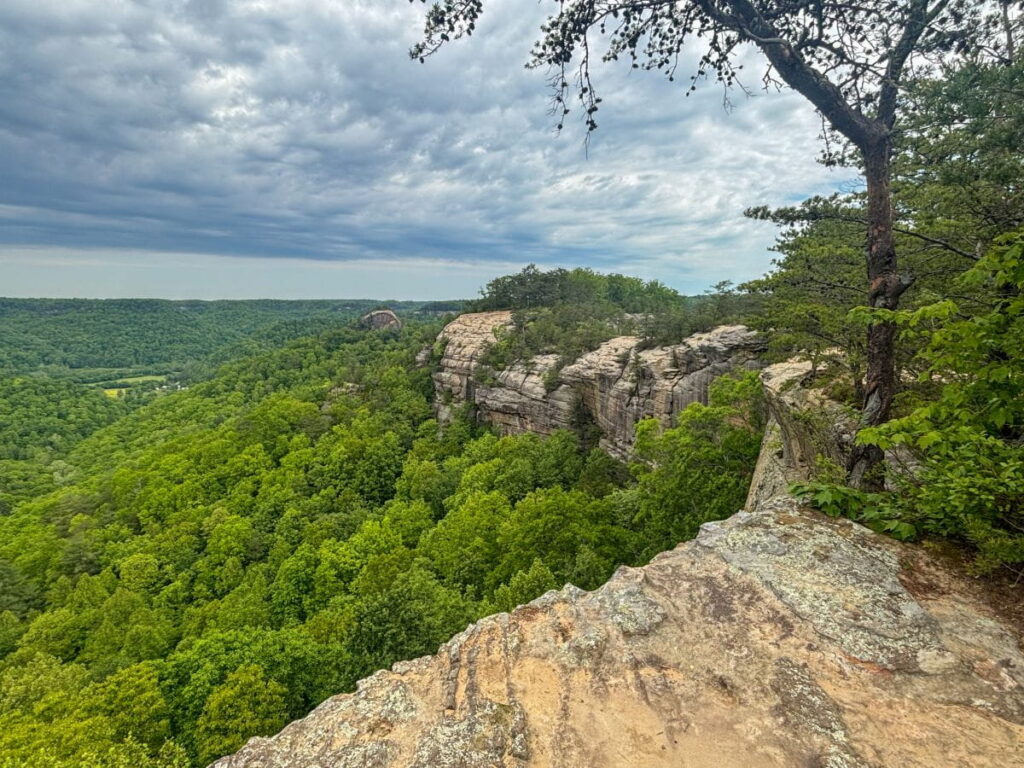 auxier ridge trail red river gorge