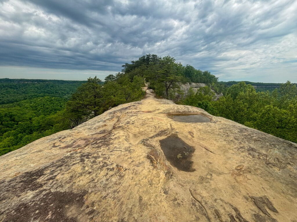auxier ridge trail red river gorge