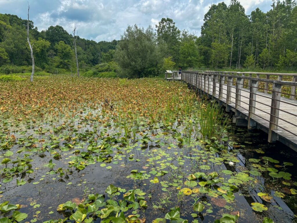 beaver marsh boardwalk cuyahoga valley