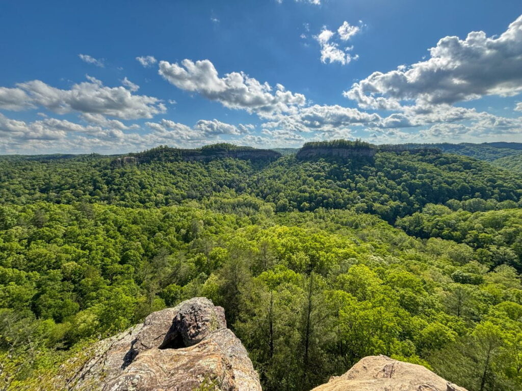 chimney top rock red river gorge