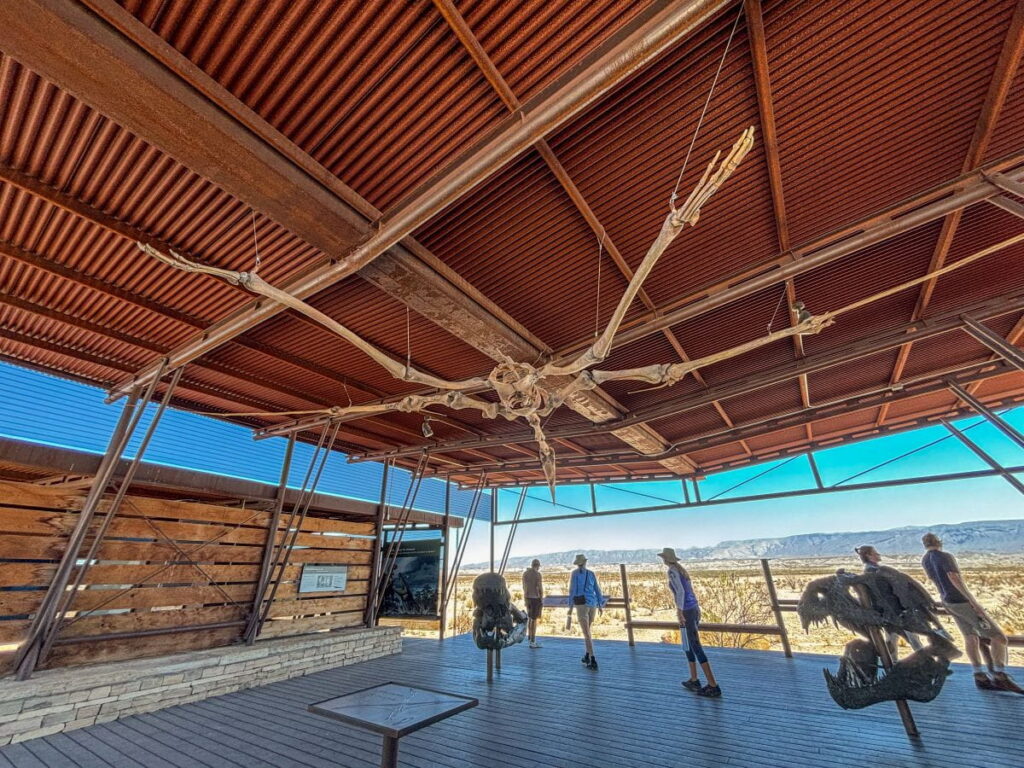 fossil discovery exhibit big bend national park