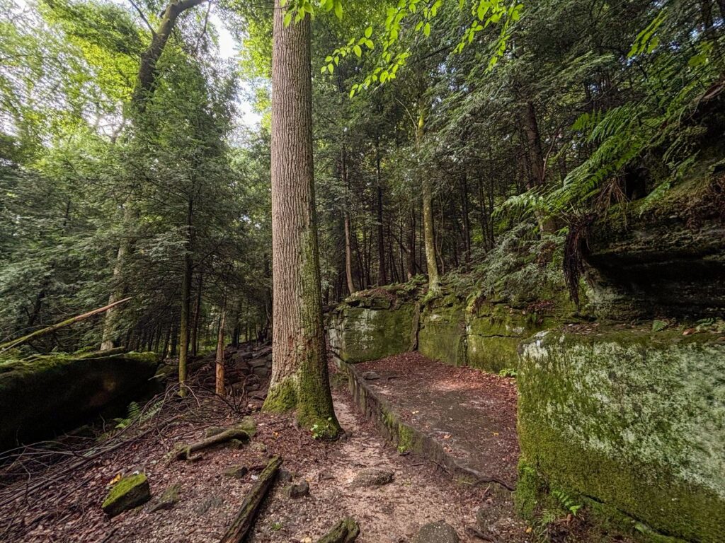 ledges trail cuyahoga valley