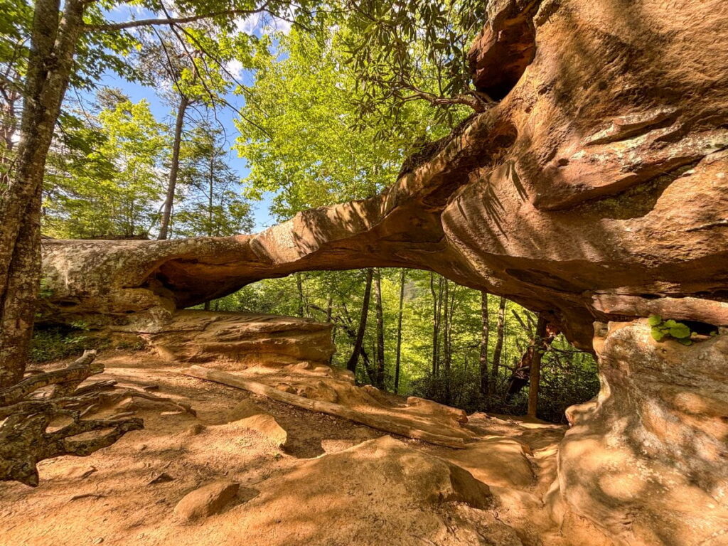 princess arch red river gorge