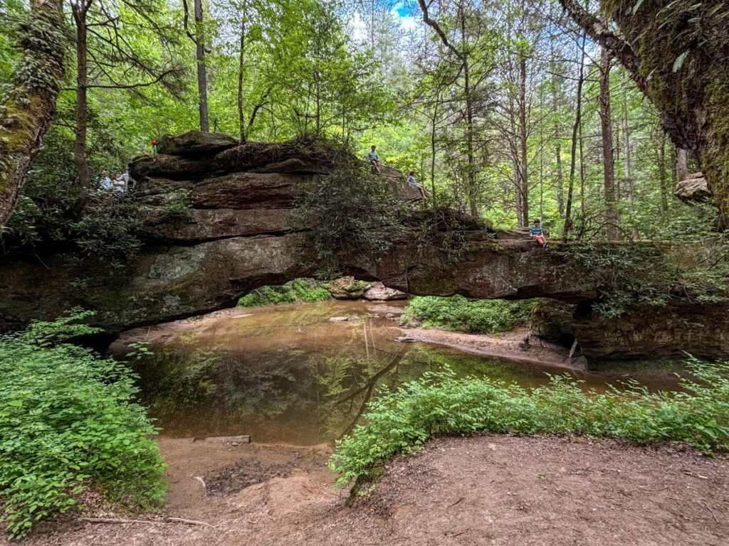 rock bridge red river gorge