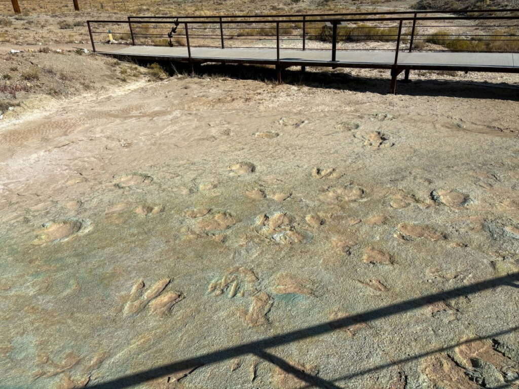 mill canyon dinosaur tracksite moab