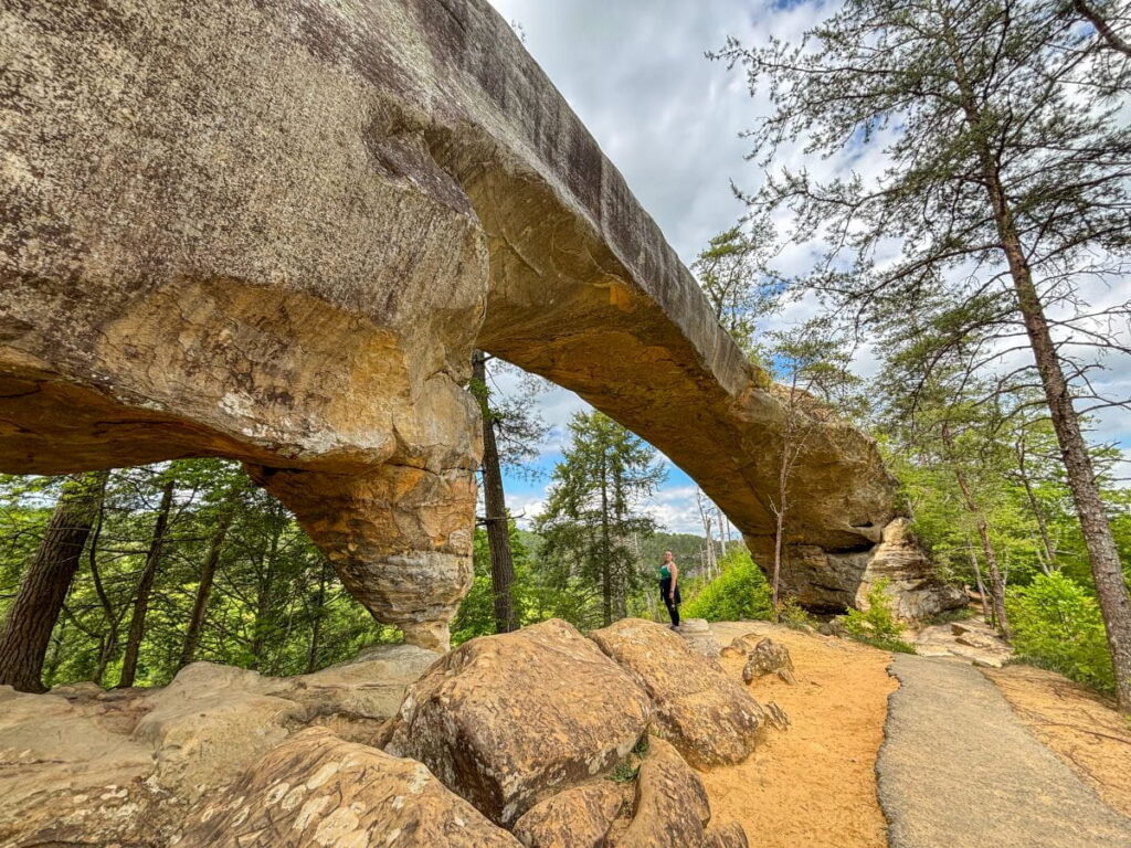 sky bridge trail red river gorge