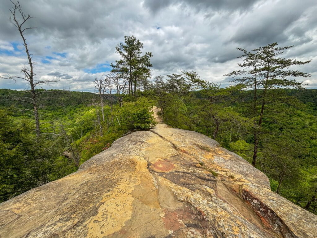 sky bridge trail