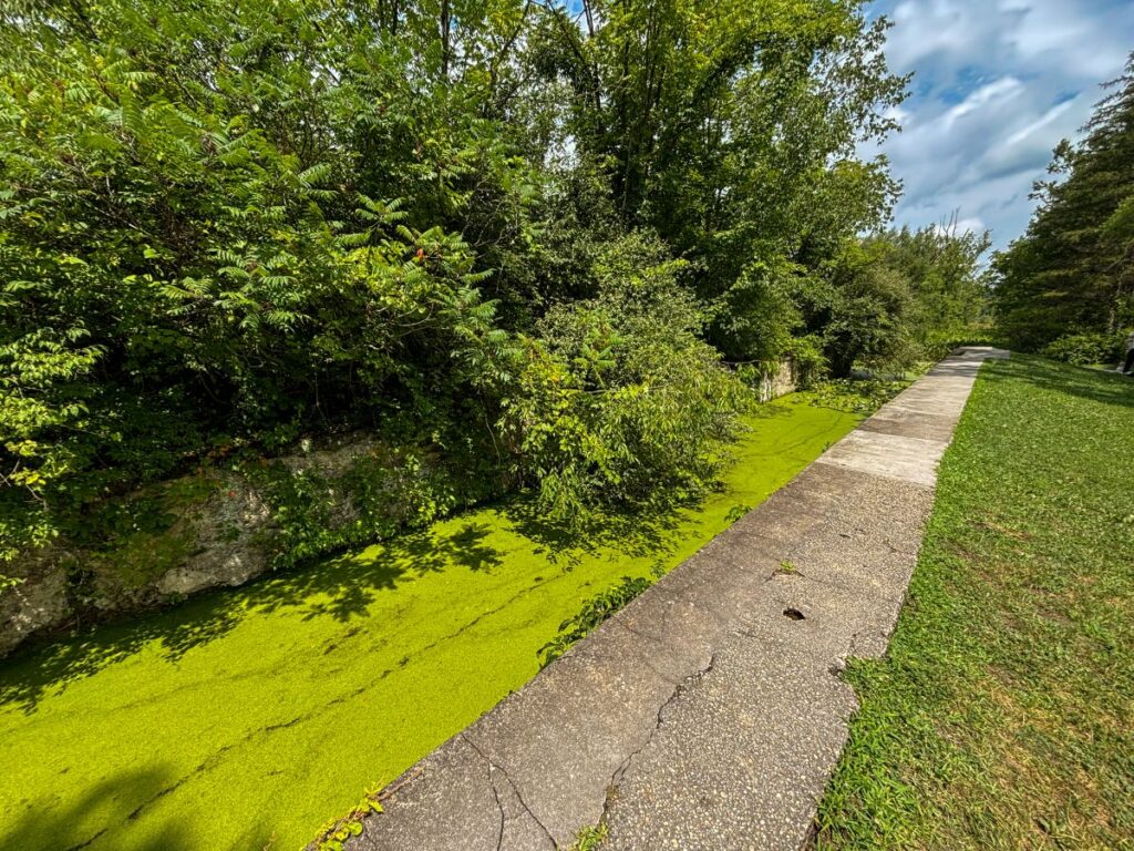 towpath trail cuyahoga valley