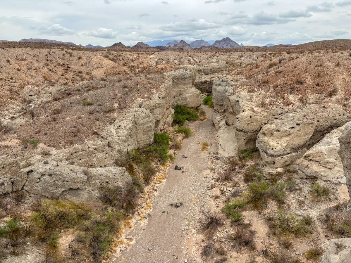 14+ Incredible Things to Do in Big Bend National Park